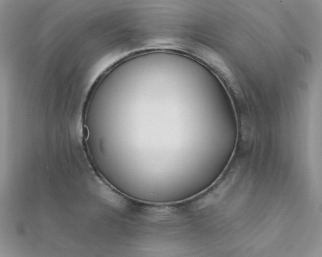 X0000112371328200909031923