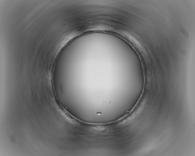 X0000112371329200909031923