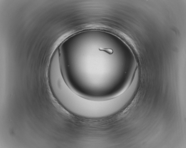 X0000112371330200909031923