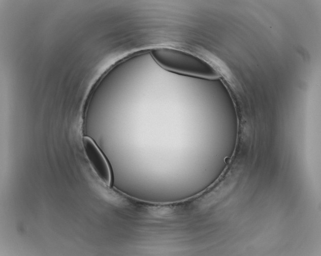 X0000112371332200909031923