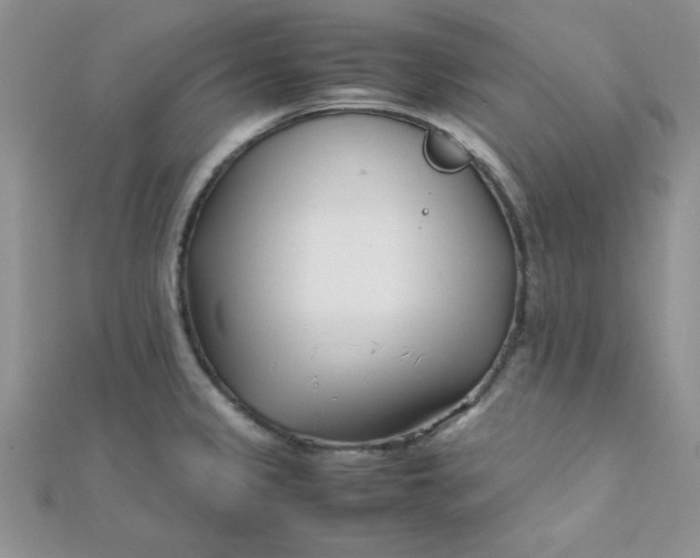 X0000112371333200909031923