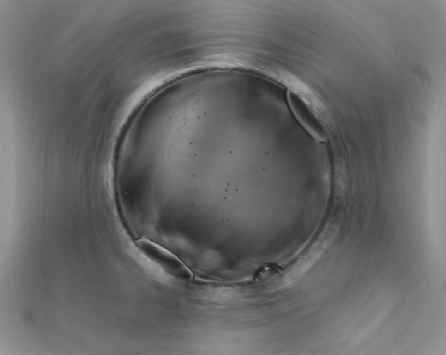 X0000112371334200909031923