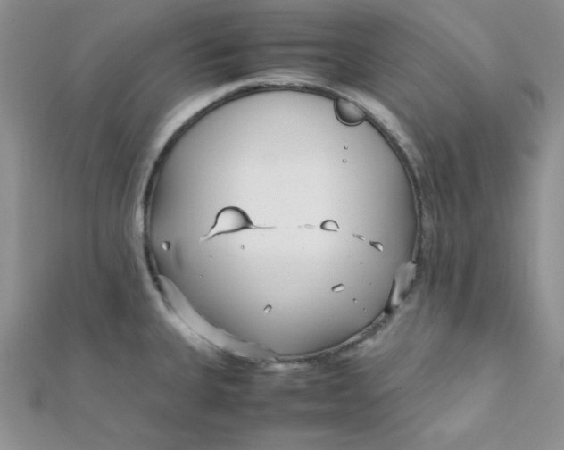 X0000112371335200909031923