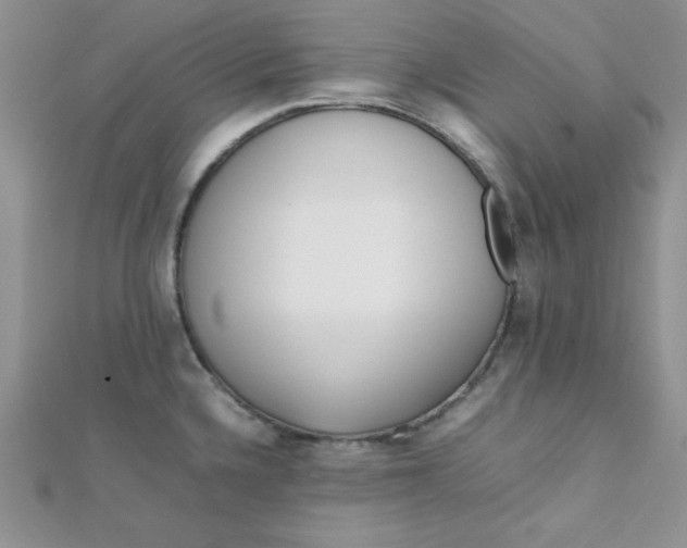 X0000112371336200909031923