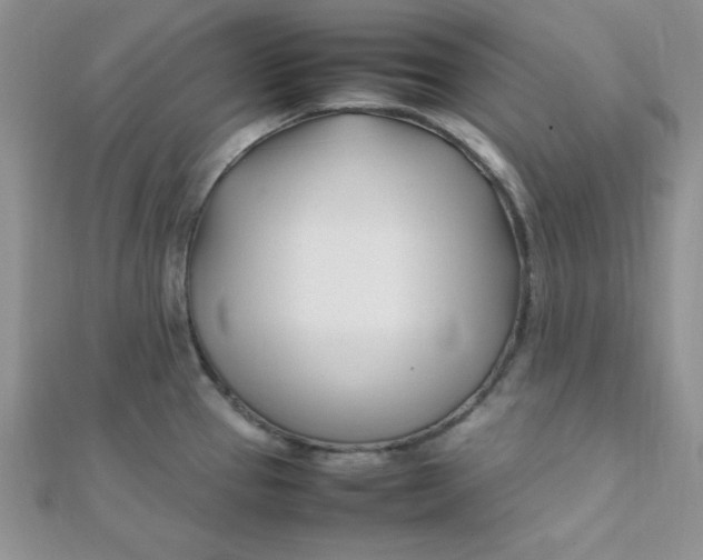 X0000112371337200909031923