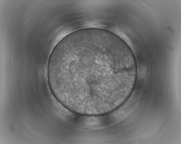 X0000112371338200909031923