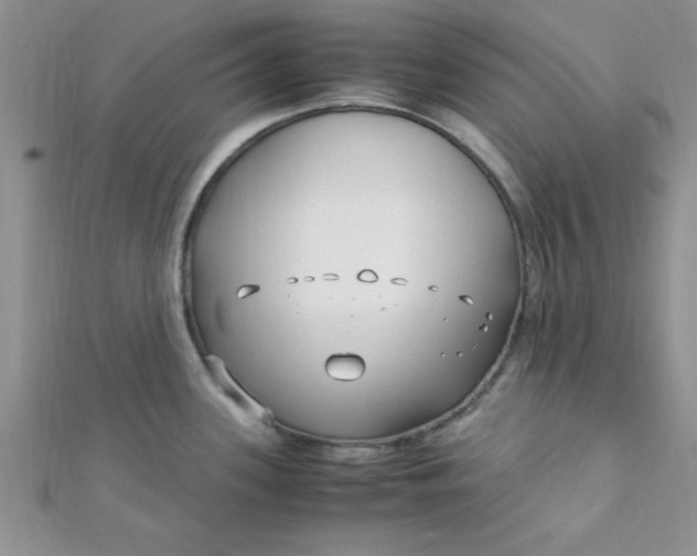 X0000112371339200909031923