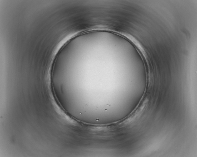 X0000112371341200909031923