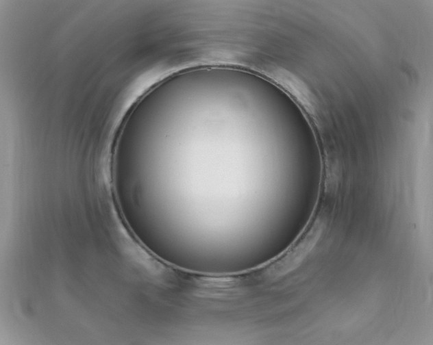 X0000112371342200909031923