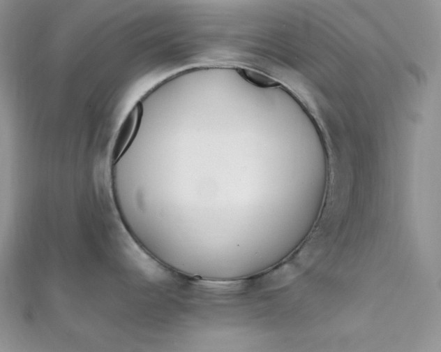 X0000112371344200909031923