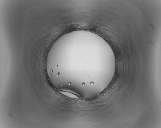 X0000112371345200909031923