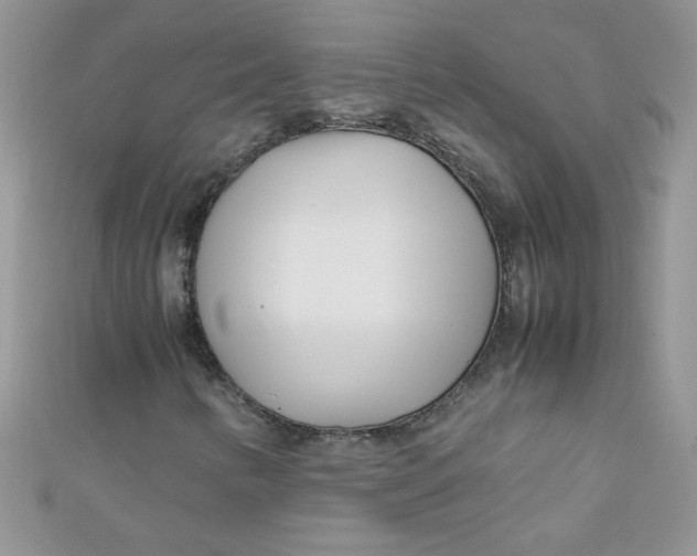 X0000112371346200909031923