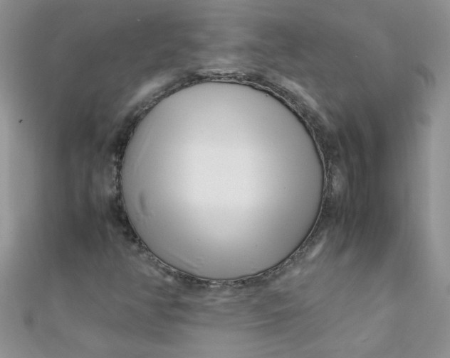 X0000112371350200909031923