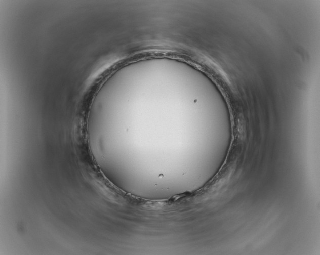 X0000112371352200909031923