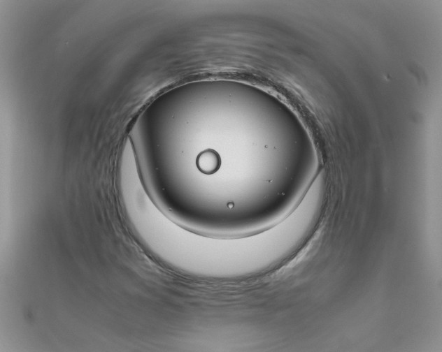 X0000112371353200909031923