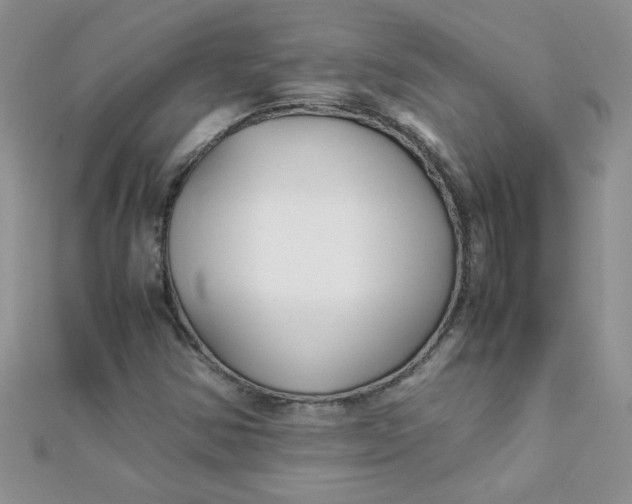 X0000112371354200909031923