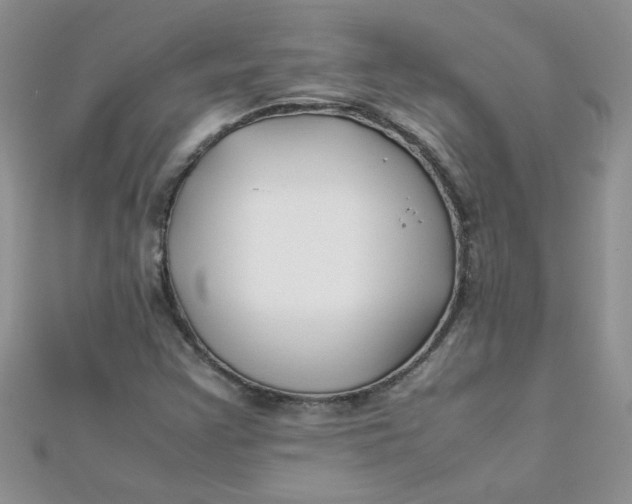 X0000112371355200909031923