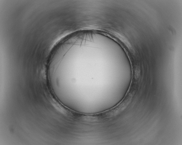 X0000112371356200909031923