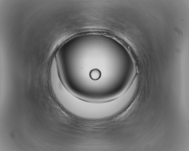 X0000112371357200909031923