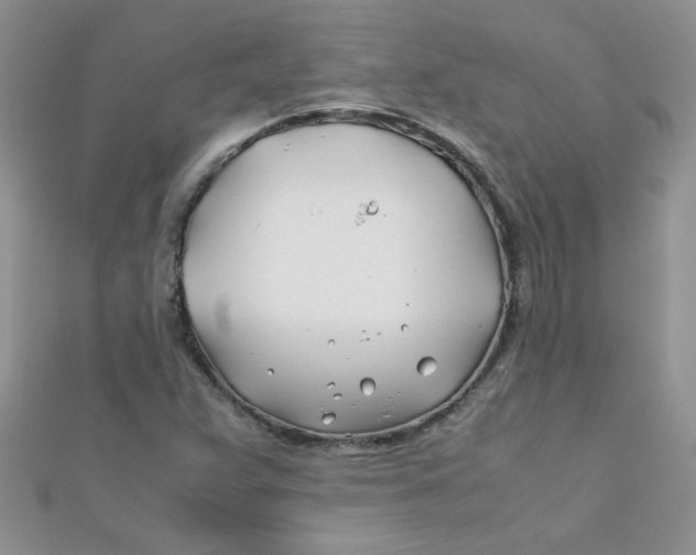 X0000112371359200909031923