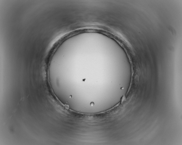 X0000112371360200909031923