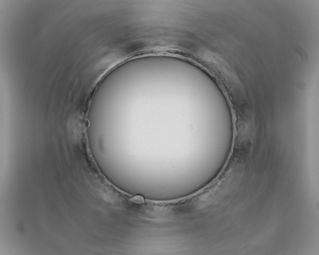 X0000112371361200909031923