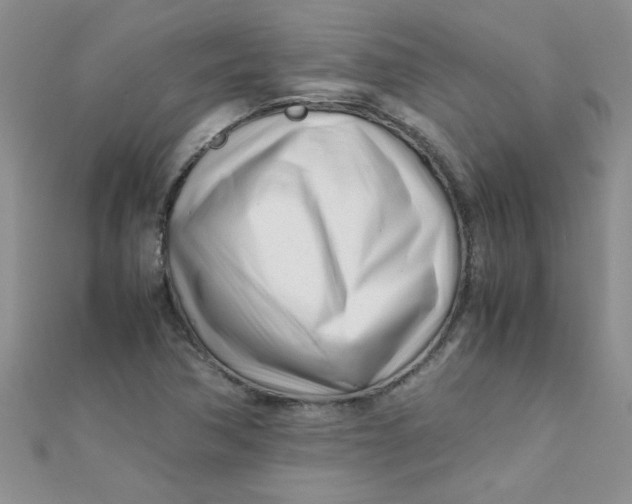 X0000112371362200909031923