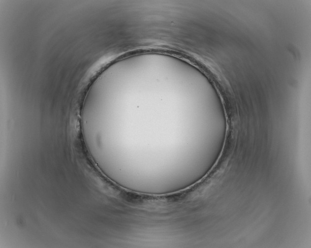 X0000112371363200909031923