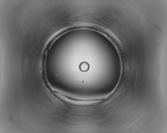 X0000112371364200909031923