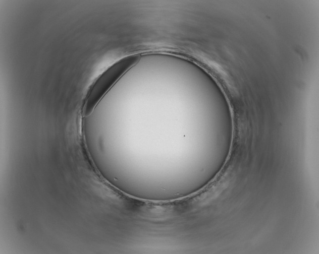 X0000112371365200909031923