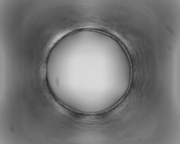 X0000112371367200909031923