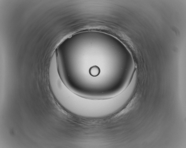 X0000112371369200909031923