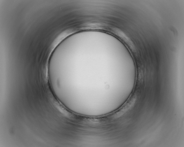 X0000112371370200909031923