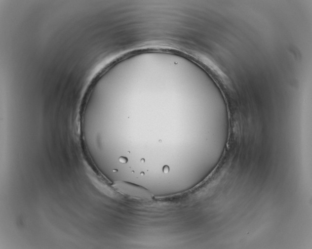 X0000112371372200909031923