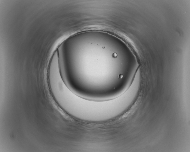 X0000112371373200909031923