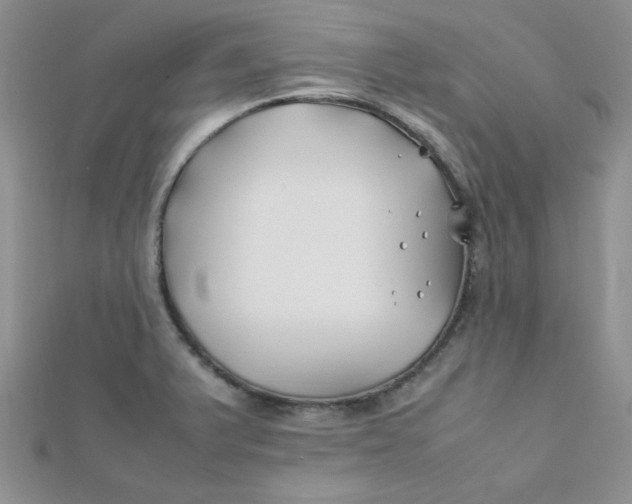 X0000112371375200909031922