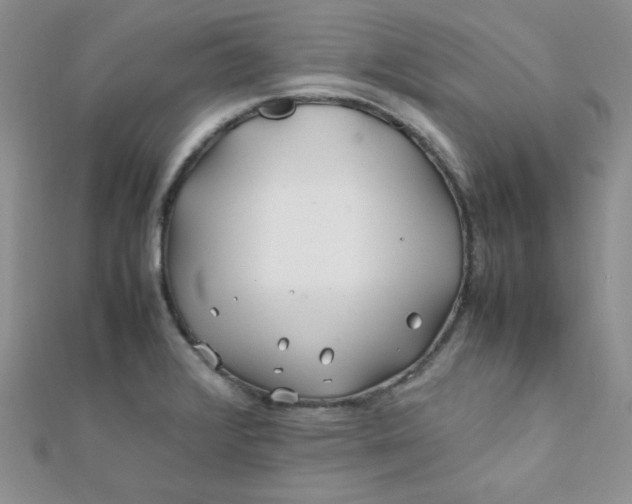 X0000112371376200909031922