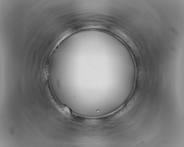 X0000112371377200909031922