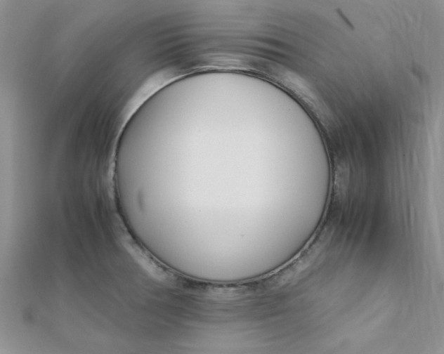 X0000112371378200909031922