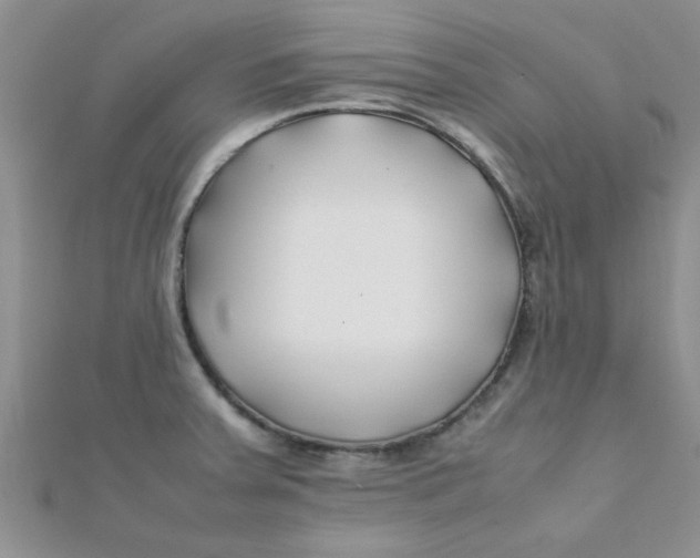 X0000112371379200909031922