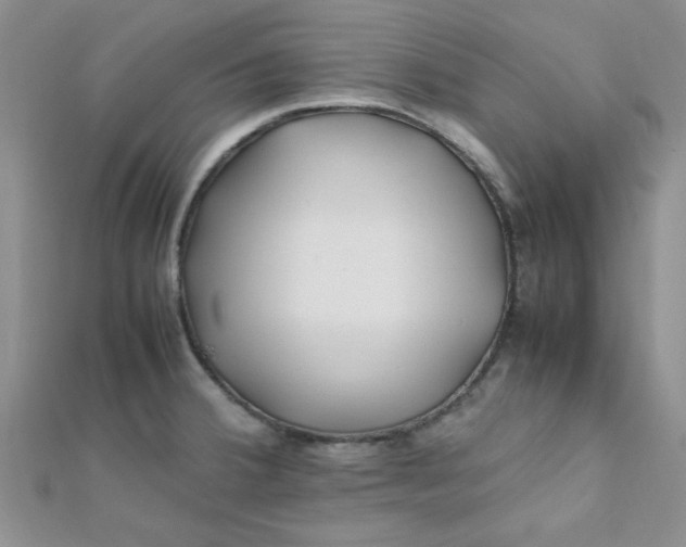 X0000112371380200909031922