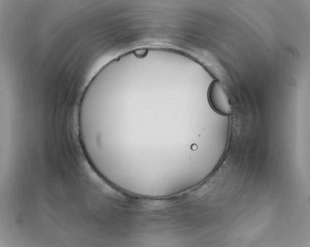 X0000112371382200909031922