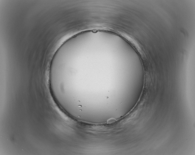 X0000112371383200909031922