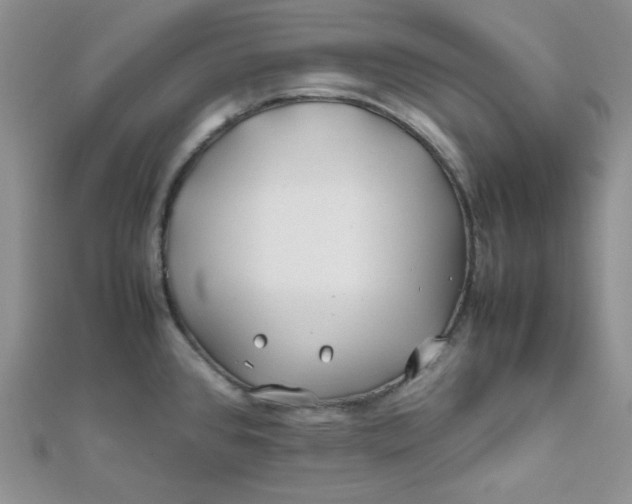 X0000112371384200909031922