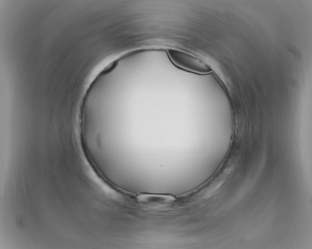 X0000112371387200909031922