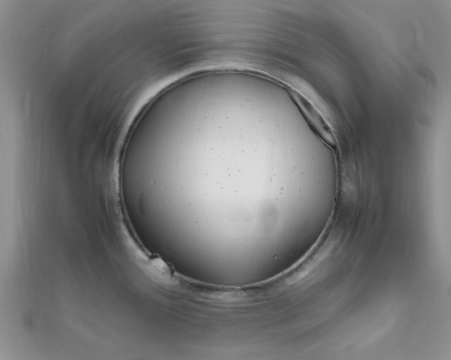 X0000112371388200909031922