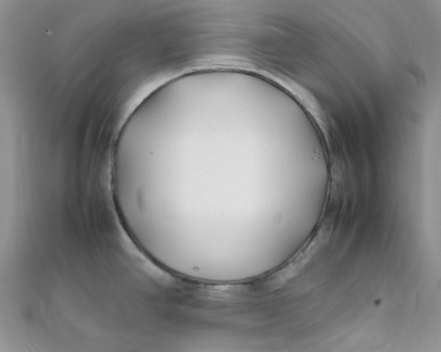 X0000112371390200909031922