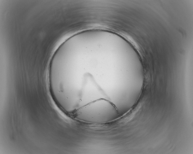 X0000112371391200909031922