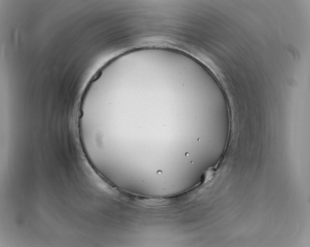 X0000112371392200909031922