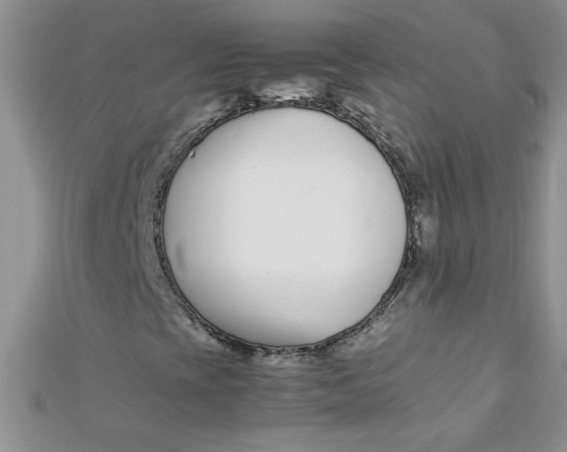 X0000112371393200909031922